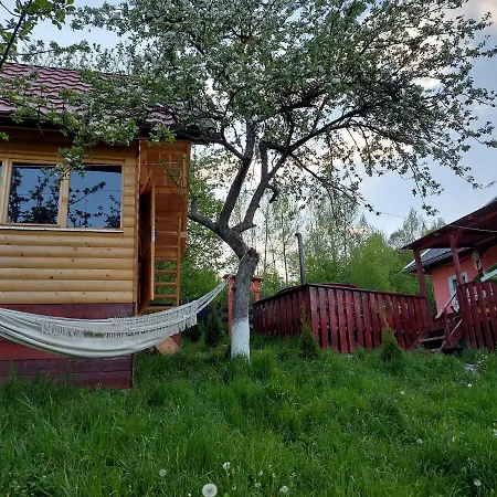Relaxare In Sohodol, Alba Holiday home
