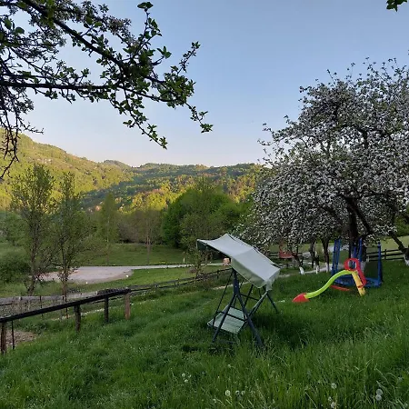 Relaxare In Sohodol, Alba Sohodol (Alba)