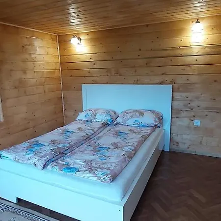 Relaxare In Sohodol, Alba Holiday home